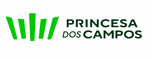 EXPRESSO PRINCESA DOS CAMPOS SA